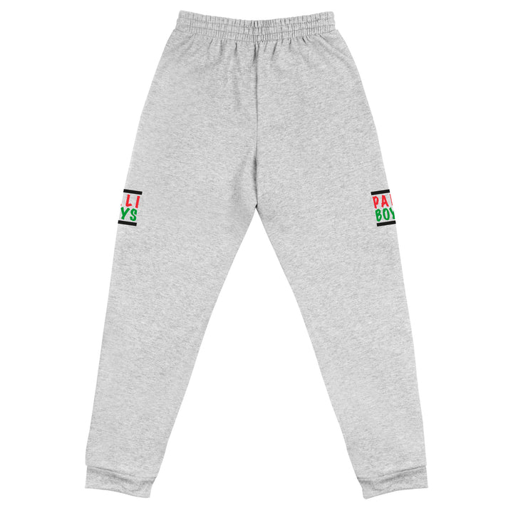 Palestinian Boys - Men’s Joggers, Heather