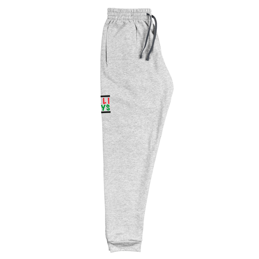 Palestinian Boys - Men’s Joggers, Heather
