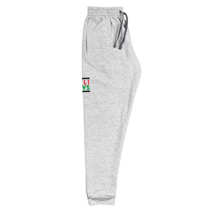 Palestinian Boys - Men’s Joggers, Heather