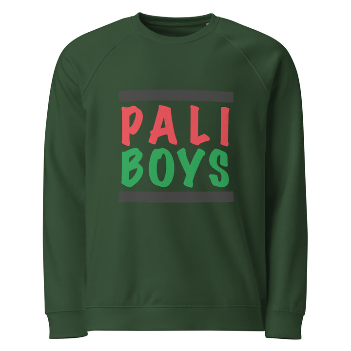 Palestinian Boys - Men Organic Raglan Sweatshirt, Green