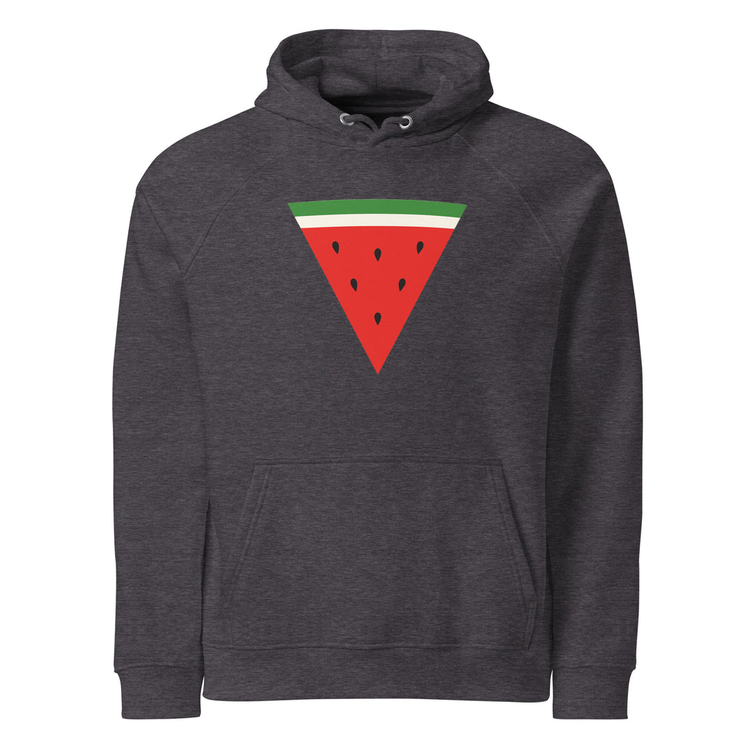Triangle Watermelon - Men’s Eco Raglan Hoodie, Eco Raglan Hoodie Charcoal Melange