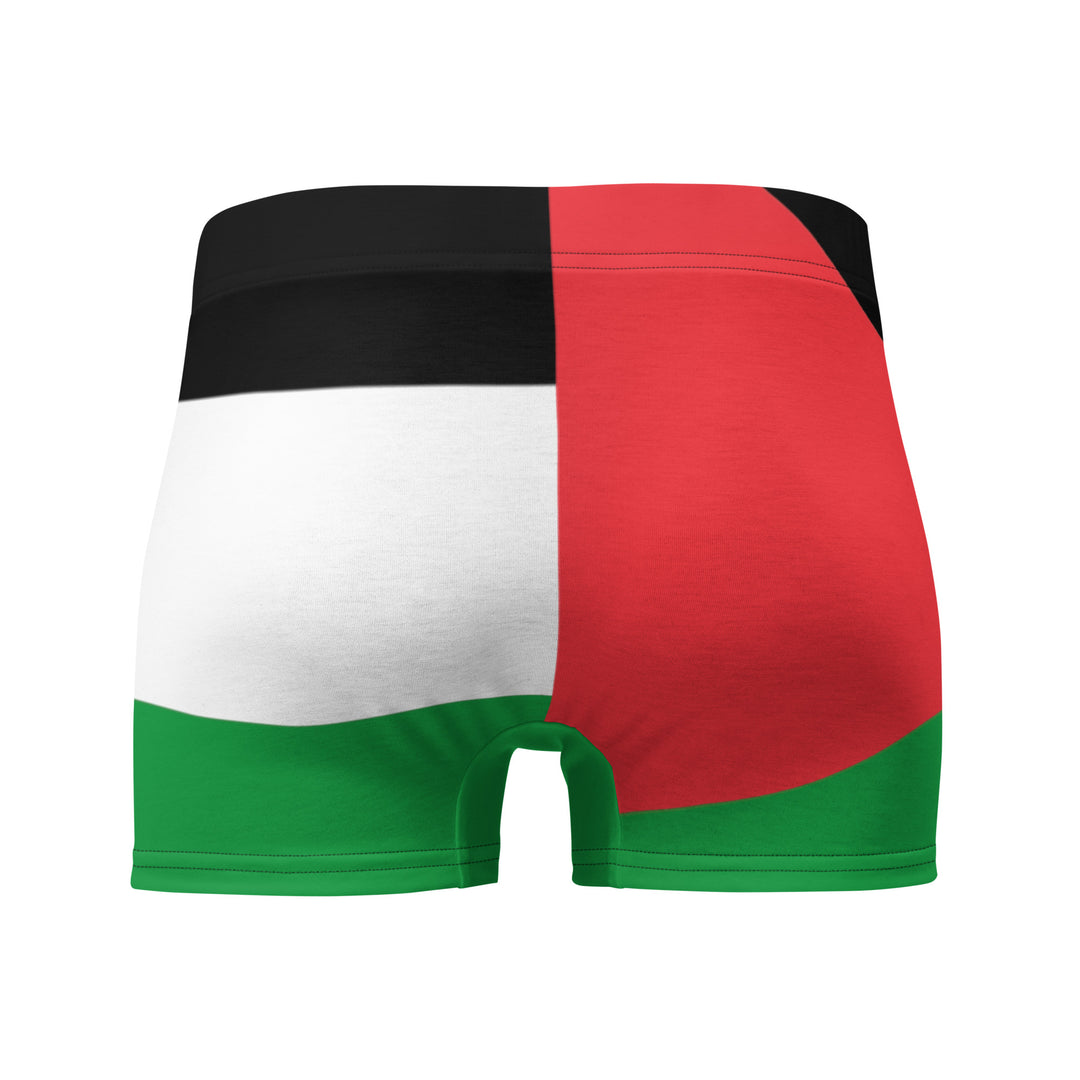Palestine Flag - Boxer Briefs, Boxer Briefs White