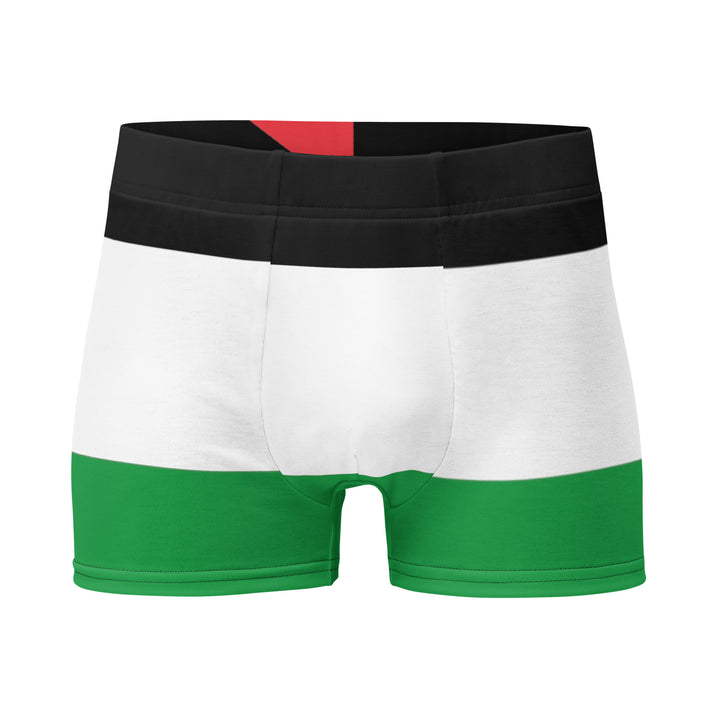 Palestine Flag - Boxer Briefs, Boxer Briefs White