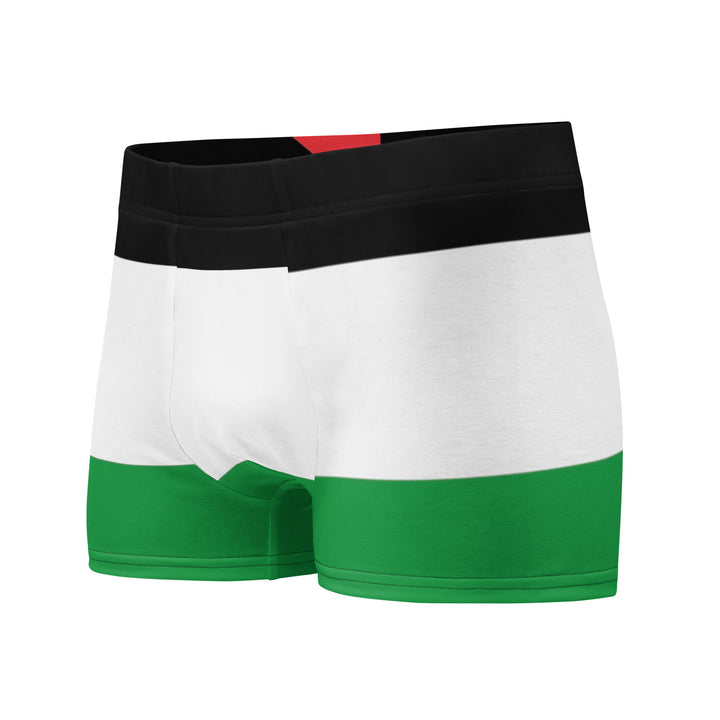 Palestine Flag - Boxer Briefs, Boxer Briefs White