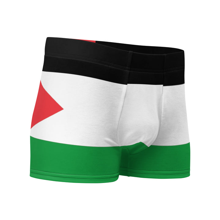 Palestine Flag - Boxer Briefs, Boxer Briefs White