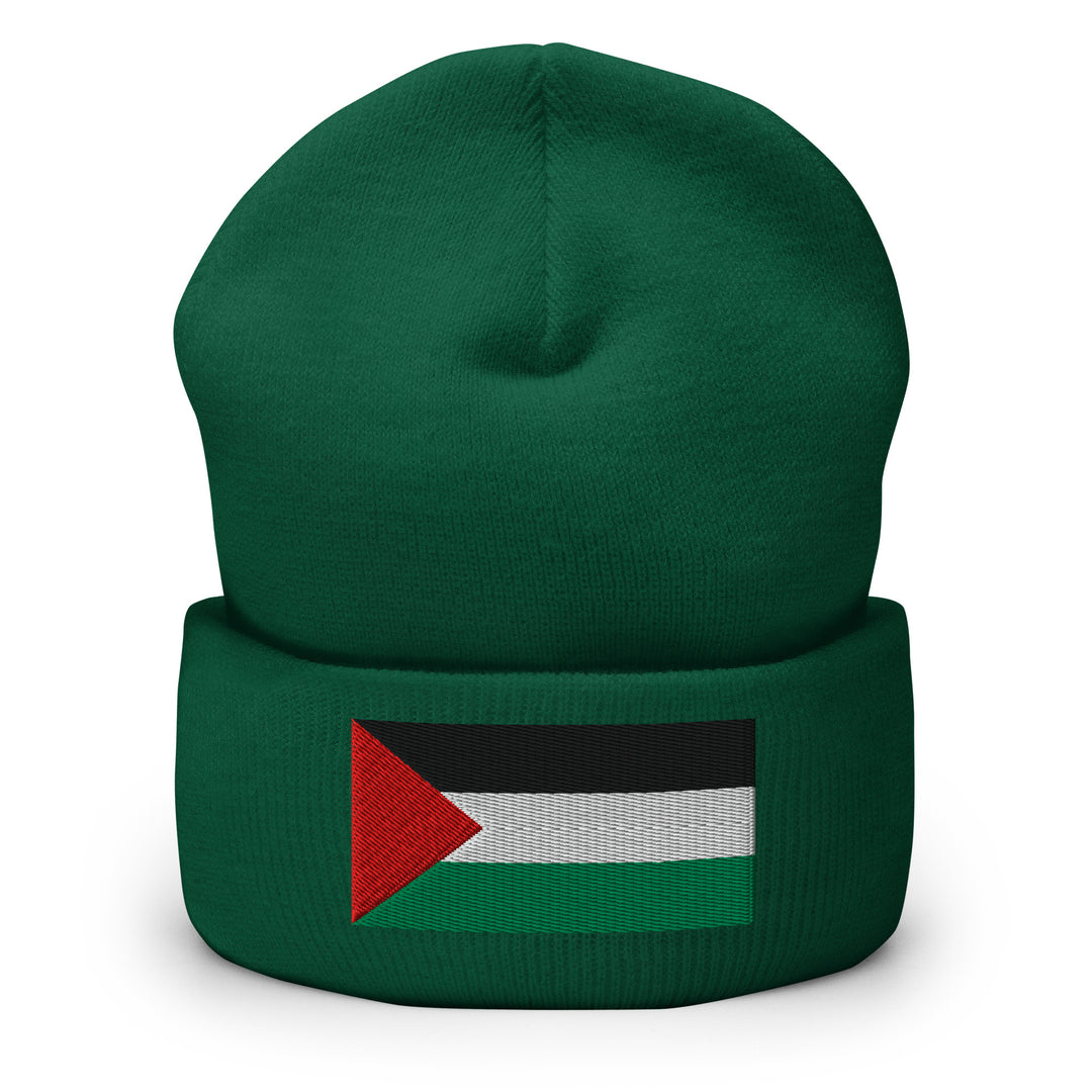 Palestine Flag - Cuffed Beanie, Cuffed Beanie Spruce