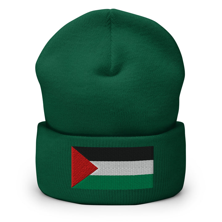 Palestine Flag - Cuffed Beanie, Cuffed Beanie Spruce