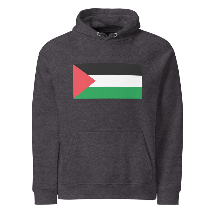 Palestine Flag  - Men’s Eco Raglan Hoodie, Eco Raglan Hoodie Charcoal Melange