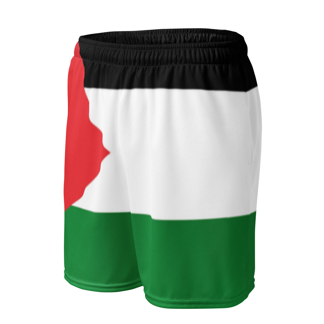 Palestine Flag - Men’s Mesh Shorts, Recycled Unisex Mesh Shorts White