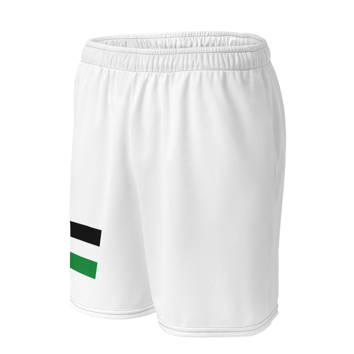 Palestine Flag - Men’s Mesh Shorts, Recycled Unisex Mesh Shorts White