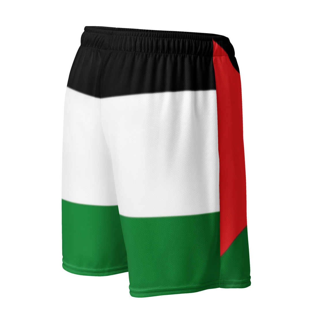 Palestine Flag - Men’s Mesh Shorts, Recycled Unisex Mesh Shorts White Right