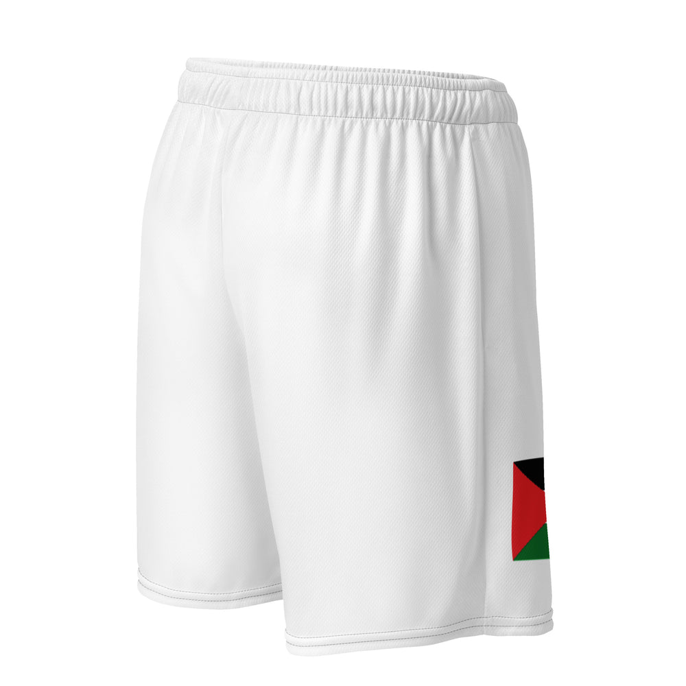 Palestine Flag - Men’s Mesh Shorts, Recycled Unisex Mesh Shorts White Right