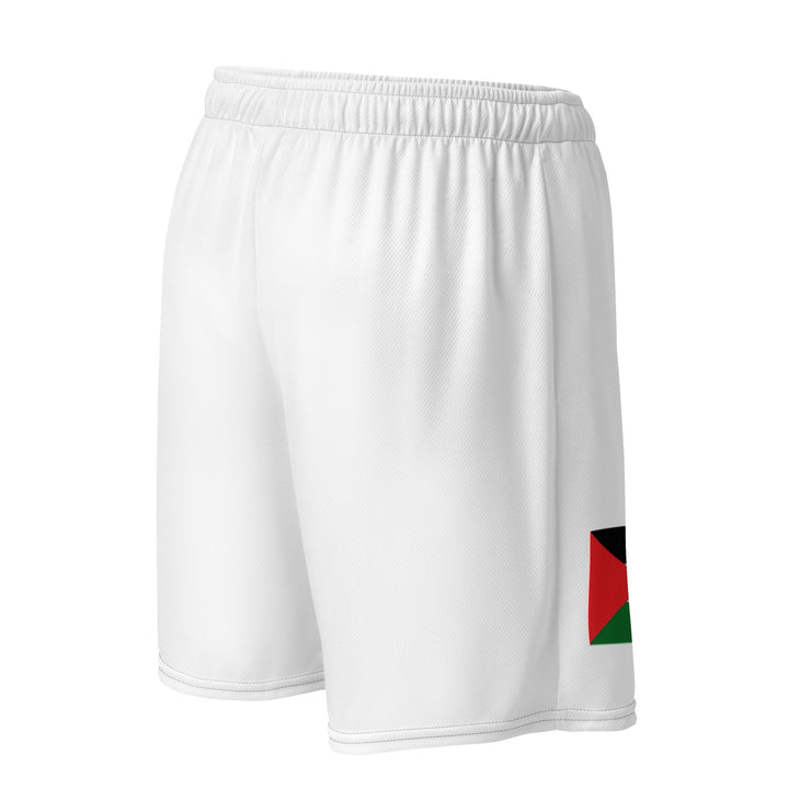 Palestine Flag - Men’s Mesh Shorts, Recycled Unisex Mesh Shorts White Right