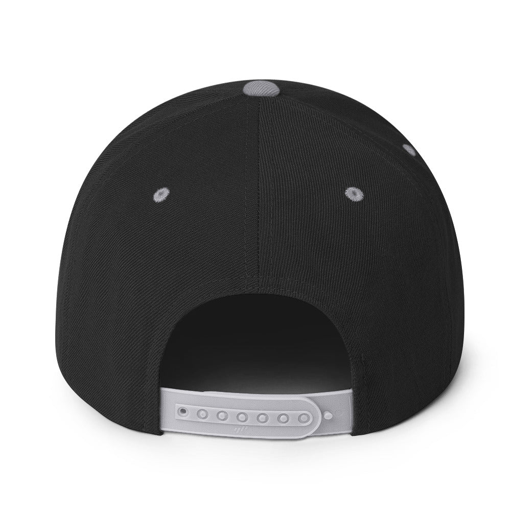 Palestine Flag - Snapback Hat, Snapback Black Silver