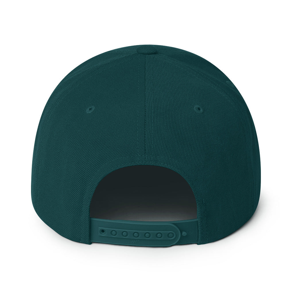 Palestine Flag - Snapback Hat, Snapback Spruce