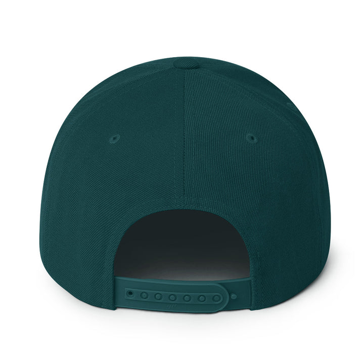 Palestine Flag - Snapback Hat, Snapback Spruce