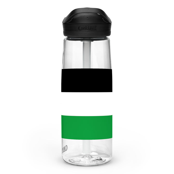 Palestine Flag - Sports Water Bottle