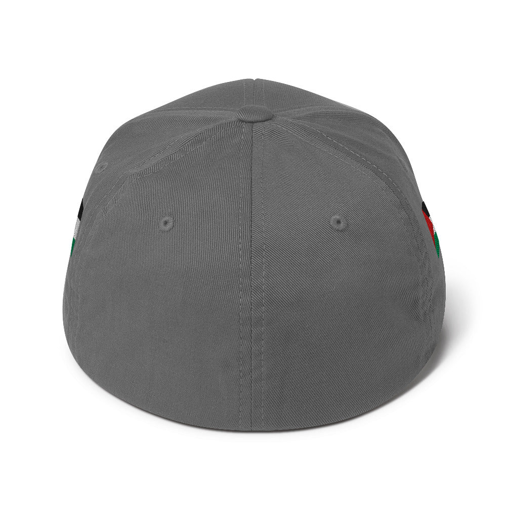 Palestine Flag - Structured Twill Cap, Closed Back Structured Cap Grey