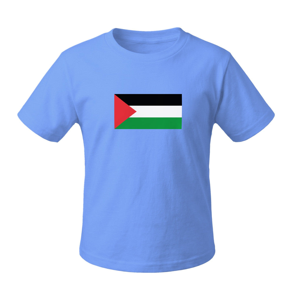 Palestine Flag - Toddler Short Sleeve Tee, Heather Columbia Blue