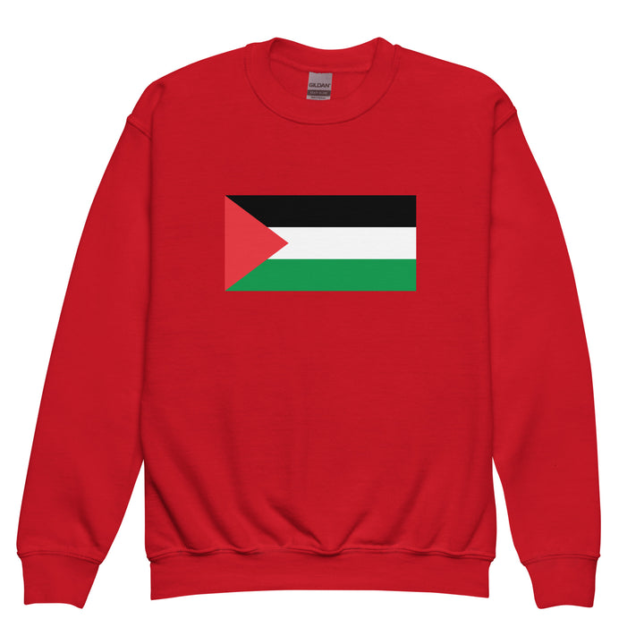 Palestine Flag - Youth Crewneck Sweatshirt, Red