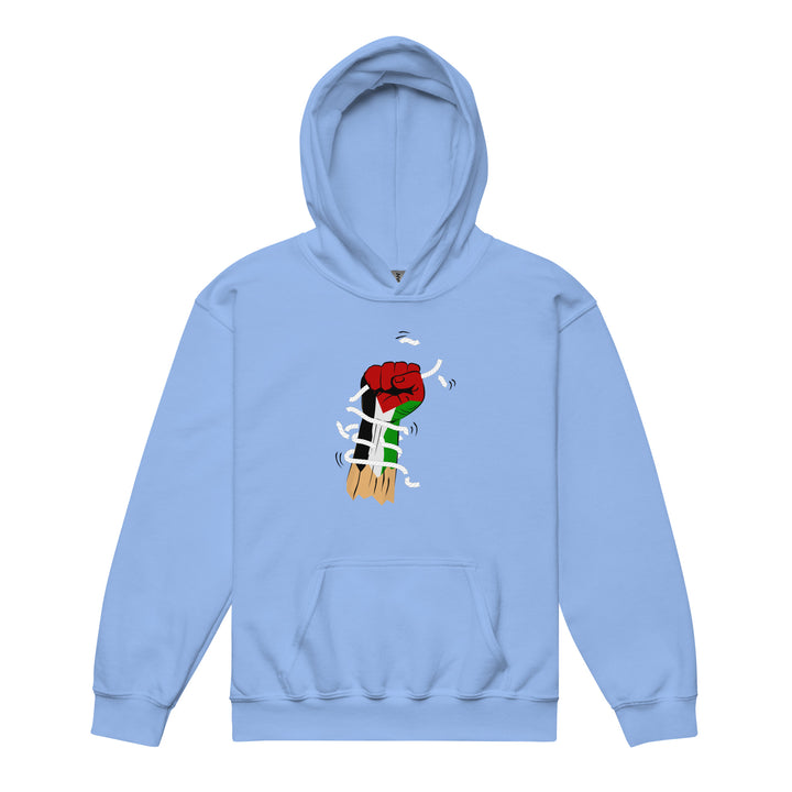 Palestine Hand - Youth Heavy Blend Hoodie, Carolina Blue