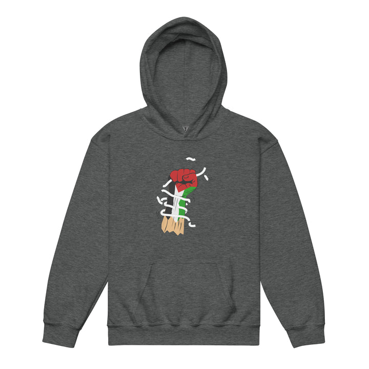 Palestine Hand - Youth Heavy Blend Hoodie, Dark Heather