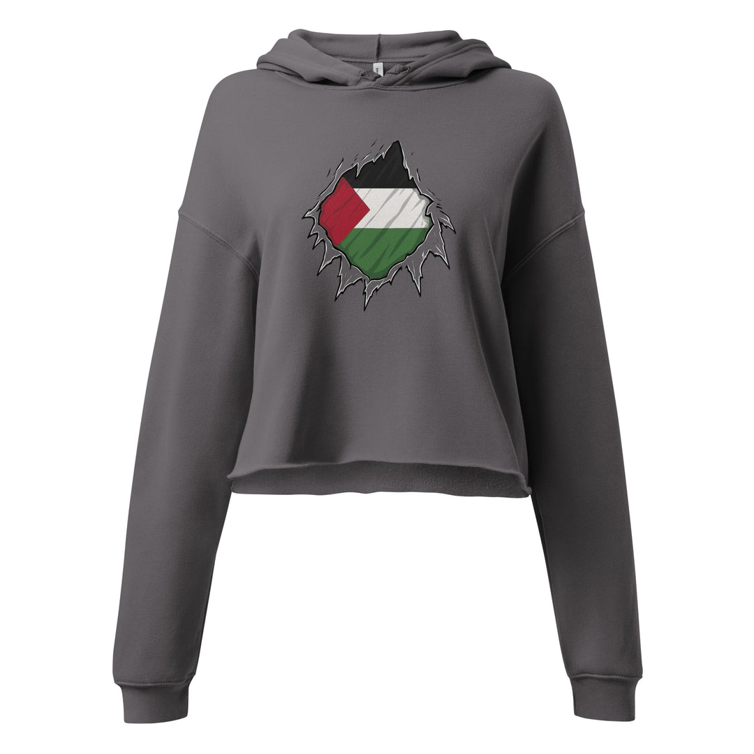 Palestine Hero - Crop Hoodie, Womens Cropped Hoodie Storm