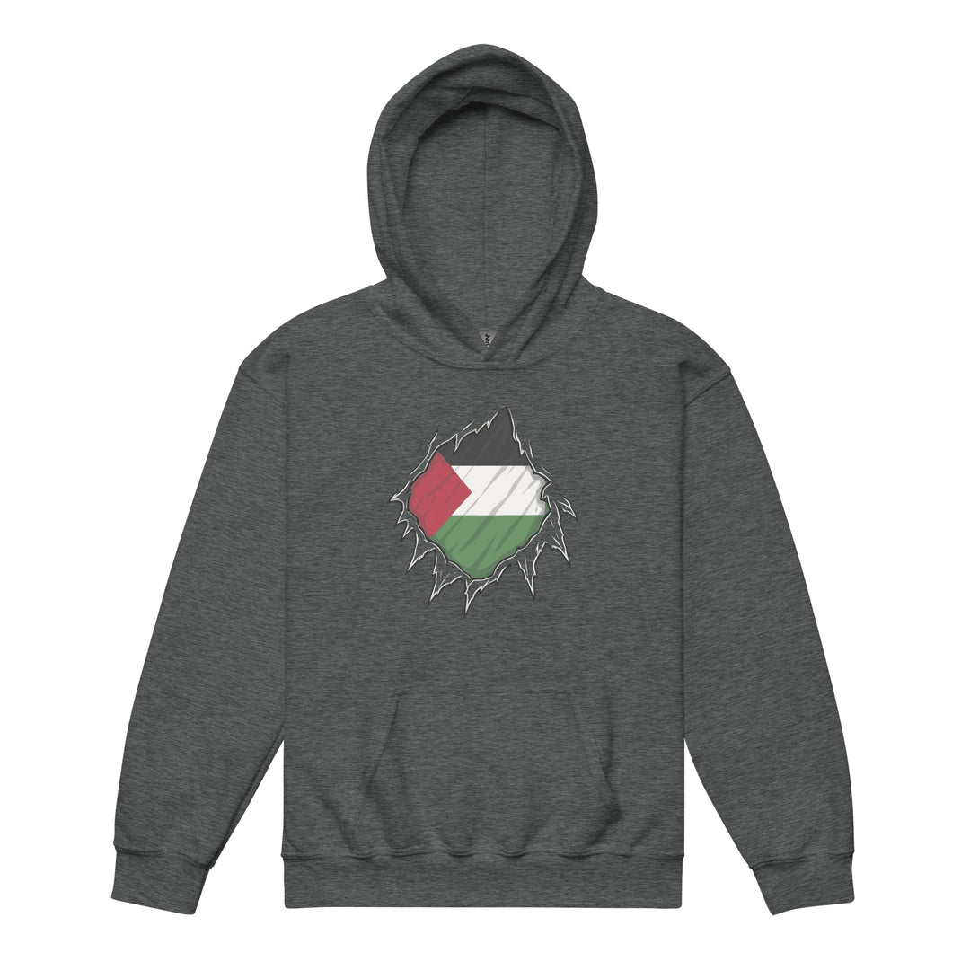 Palestine Hero - Youth heavy blend hoodie, Dark Heather