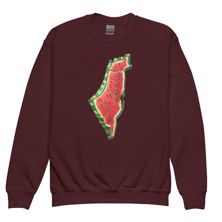 Palestine Watermelon - Youth Crewneck Sweatshirt, Maroon