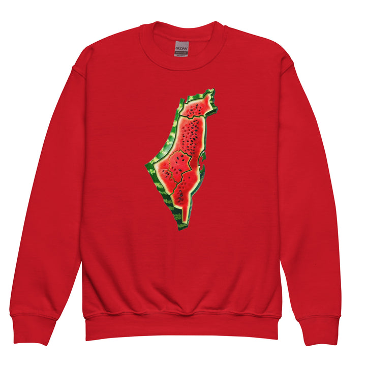 Palestine Watermelon - Youth Crewneck Sweatshirt, Red