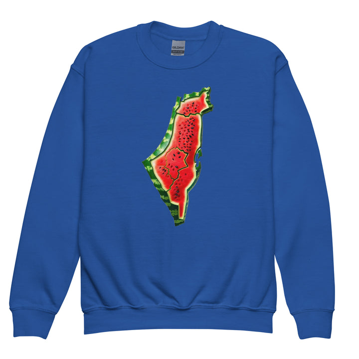 Palestine Watermelon - Youth Crewneck Sweatshirt, Royal