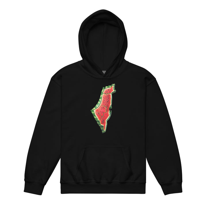 Palestine Watermelon - Youth Heavy Blend Hoodie, Black