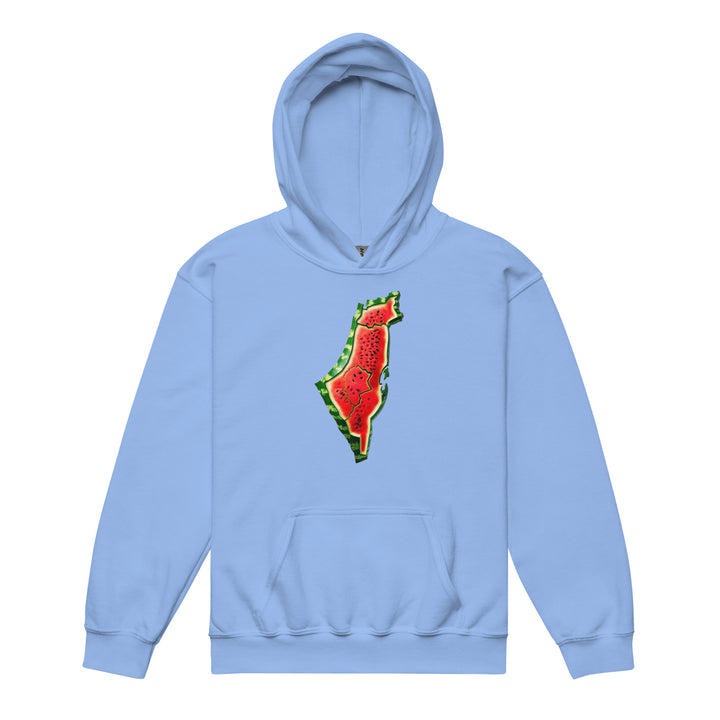 Palestine Watermelon - Youth Heavy Blend Hoodie, Carolina Blue