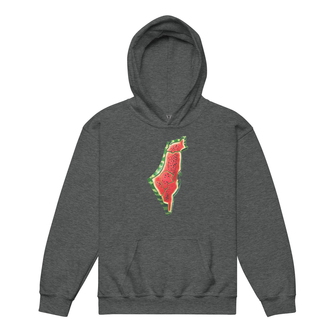 Palestine Watermelon - Youth Heavy Blend Hoodie, Dark Heather