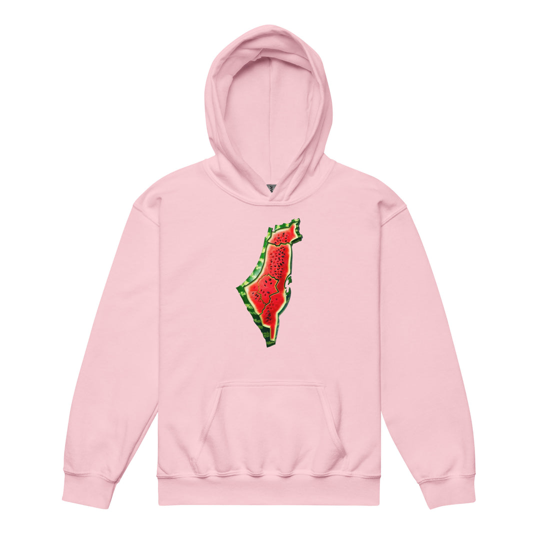 Palestine Watermelon - Youth Heavy Blend Hoodie, Light Pink