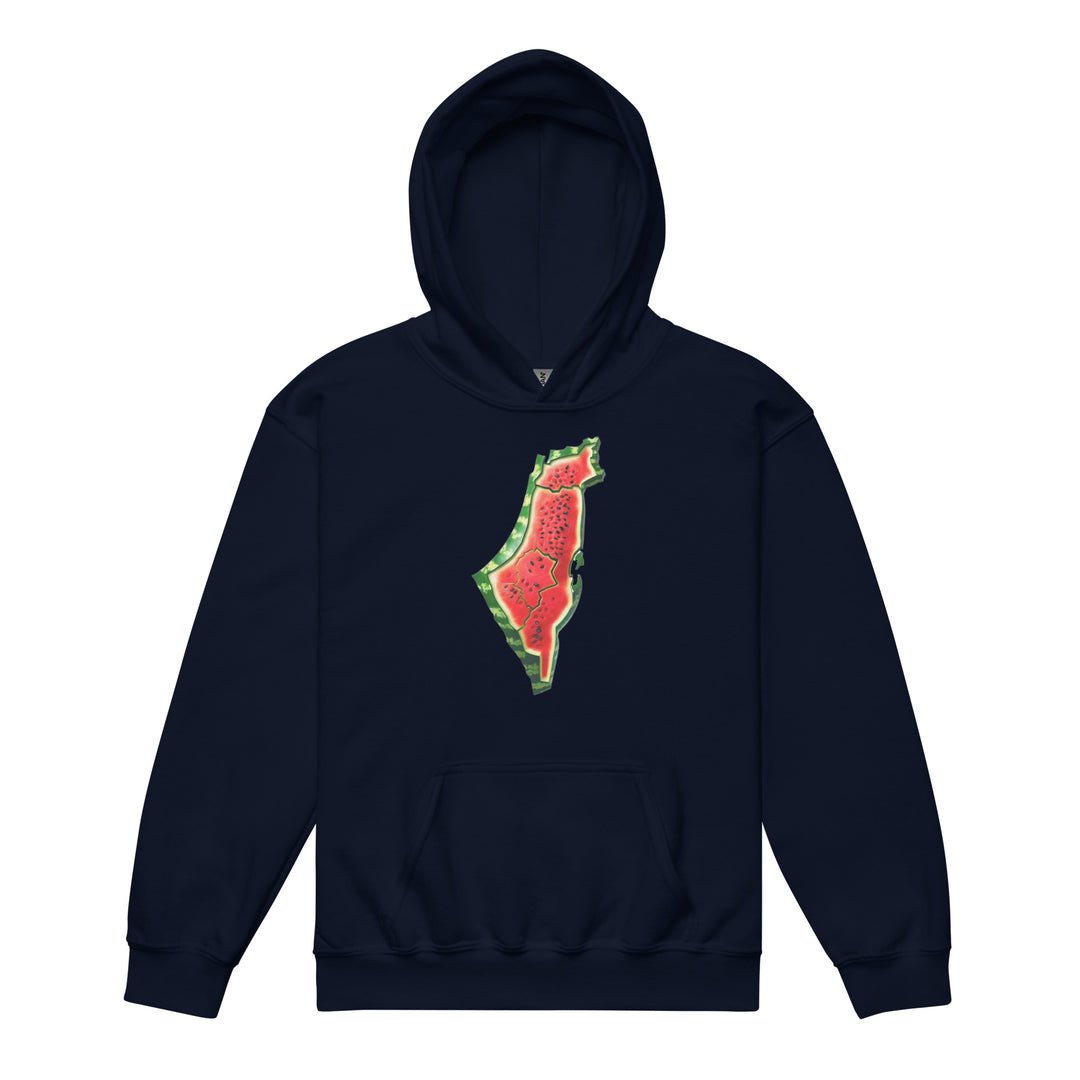 Palestine Watermelon - Youth Heavy Blend Hoodie, Navy