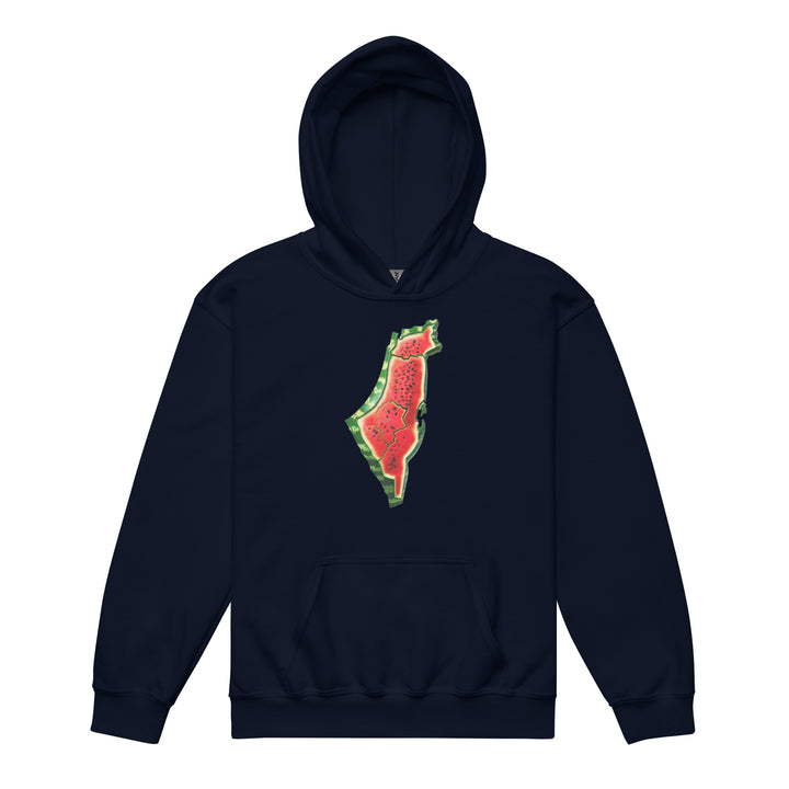 Palestine Watermelon - Youth Heavy Blend Hoodie, Navy