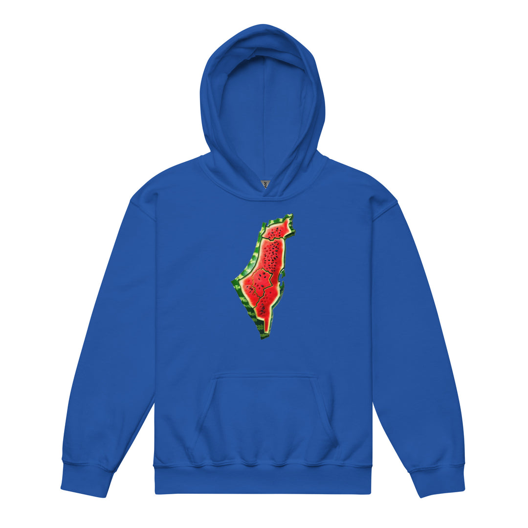 Palestine Watermelon - Youth Heavy Blend Hoodie, Royal