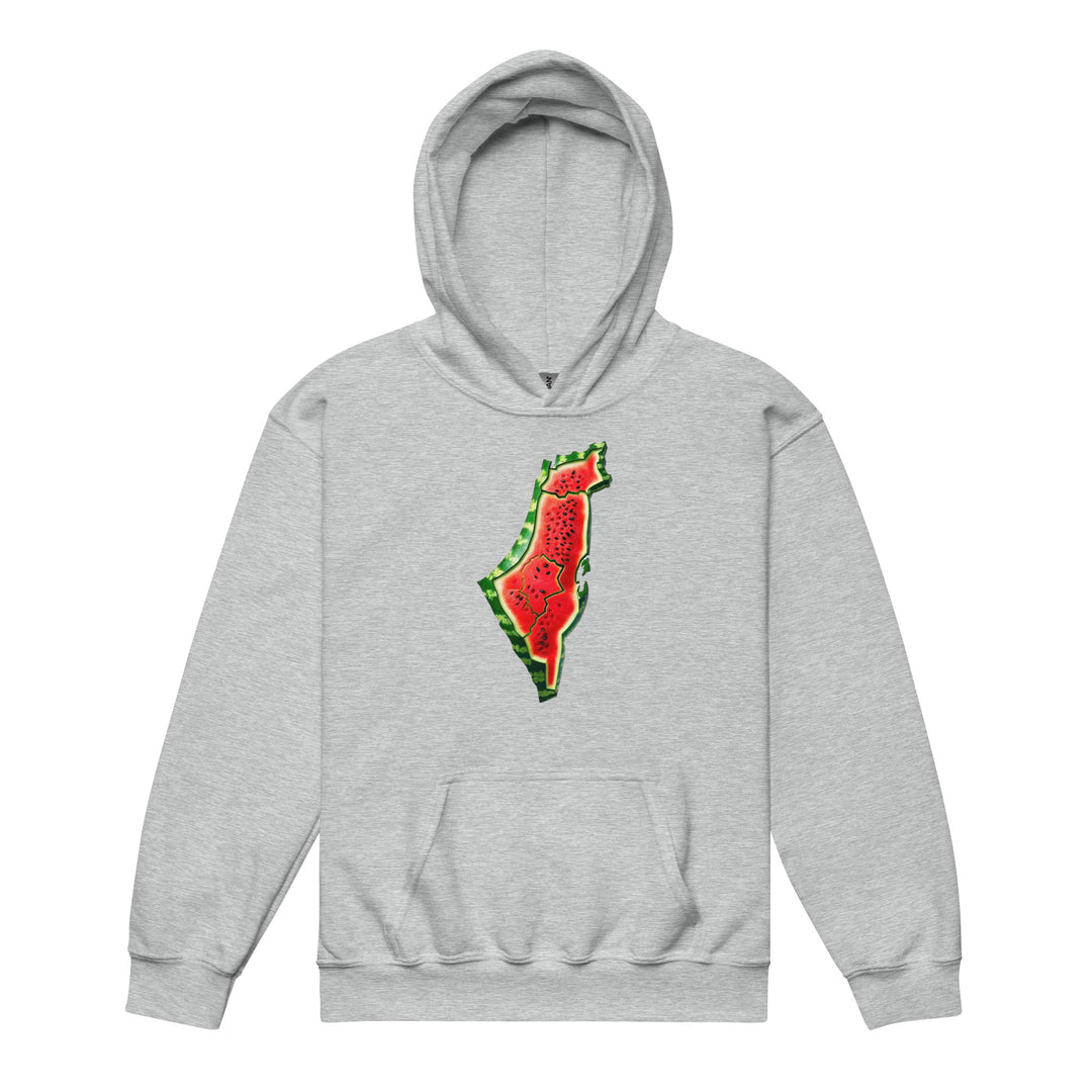 Palestine Watermelon - Youth Heavy Blend Hoodie, Sport Grey