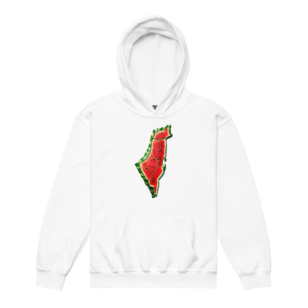 Palestine Watermelon - Youth Heavy Blend Hoodie, White