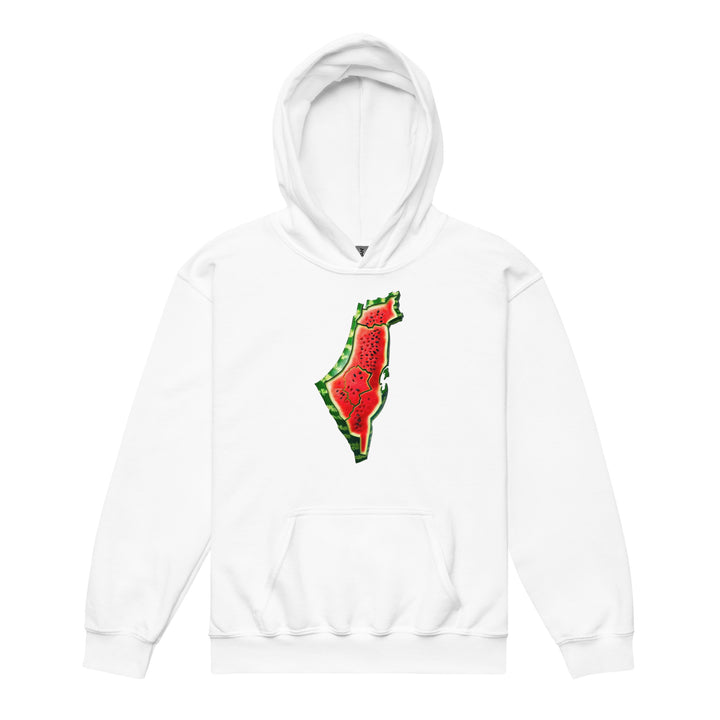 Palestine Watermelon - Youth Heavy Blend Hoodie, White