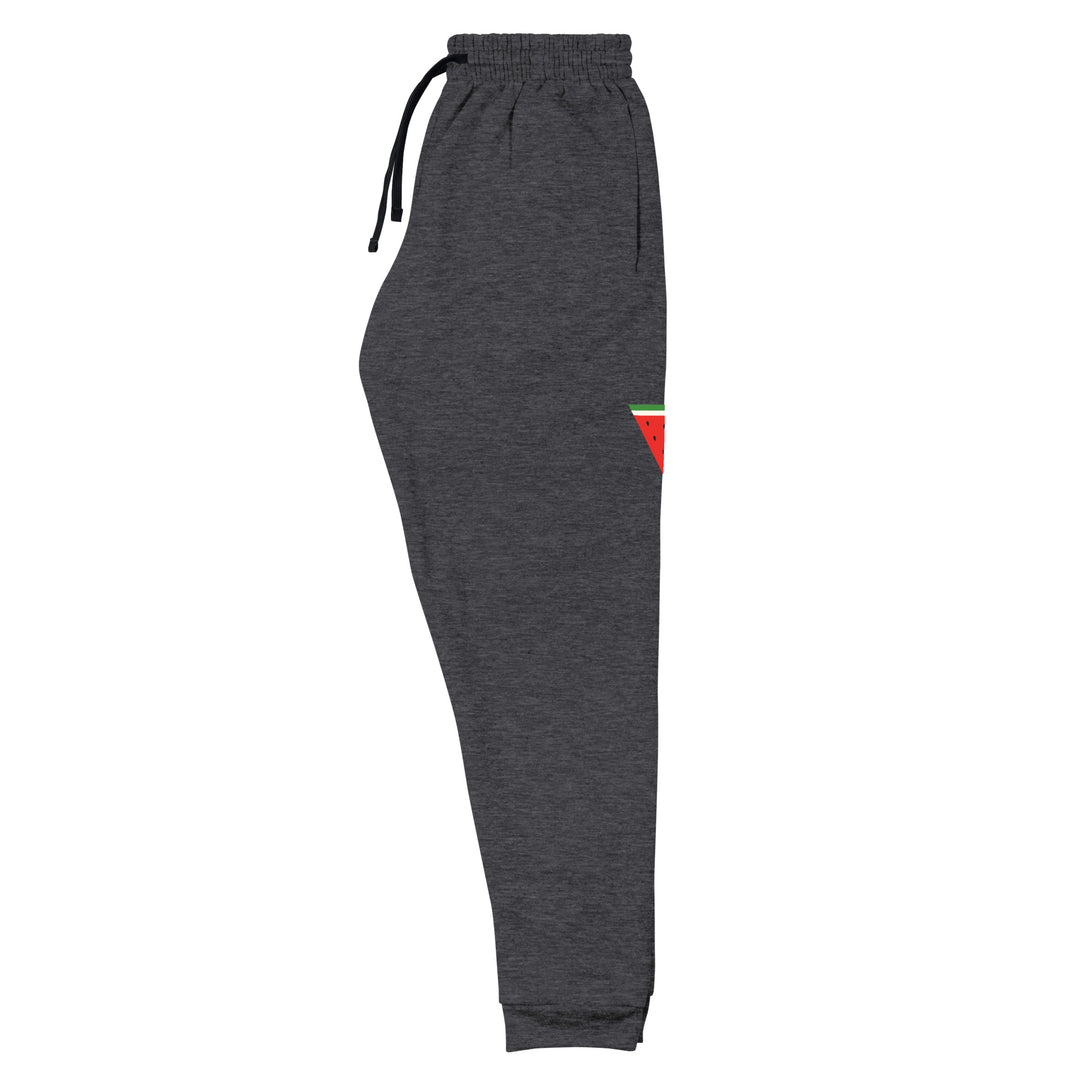 Triangle Watermelon - Men’s Joggers, Black Heather