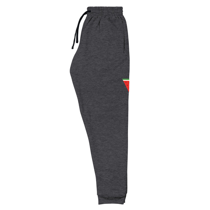 Triangle Watermelon - Men’s Joggers, Black Heather