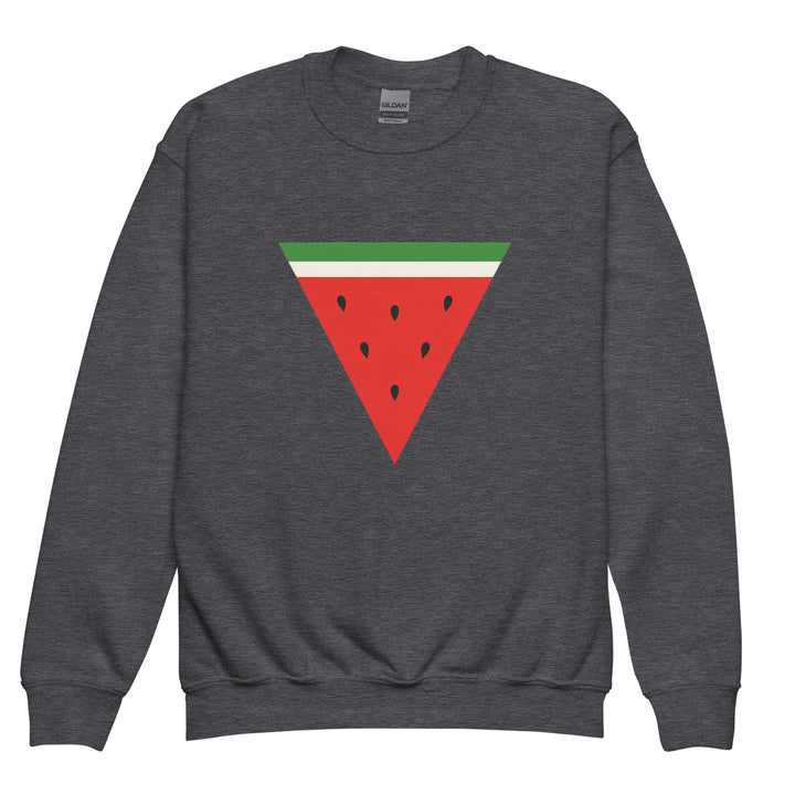 Triangle Watermelon - Youth Crewneck Sweatshirt, Dark Heather