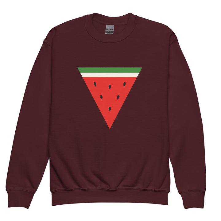 Triangle Watermelon - Youth Crewneck Sweatshirt, Maroon