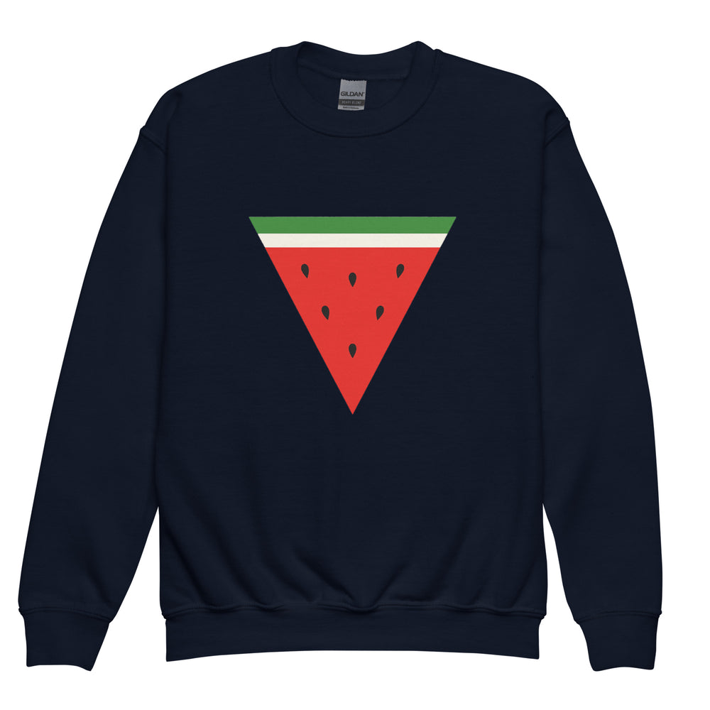 Triangle Watermelon - Youth Crewneck Sweatshirt, Navy