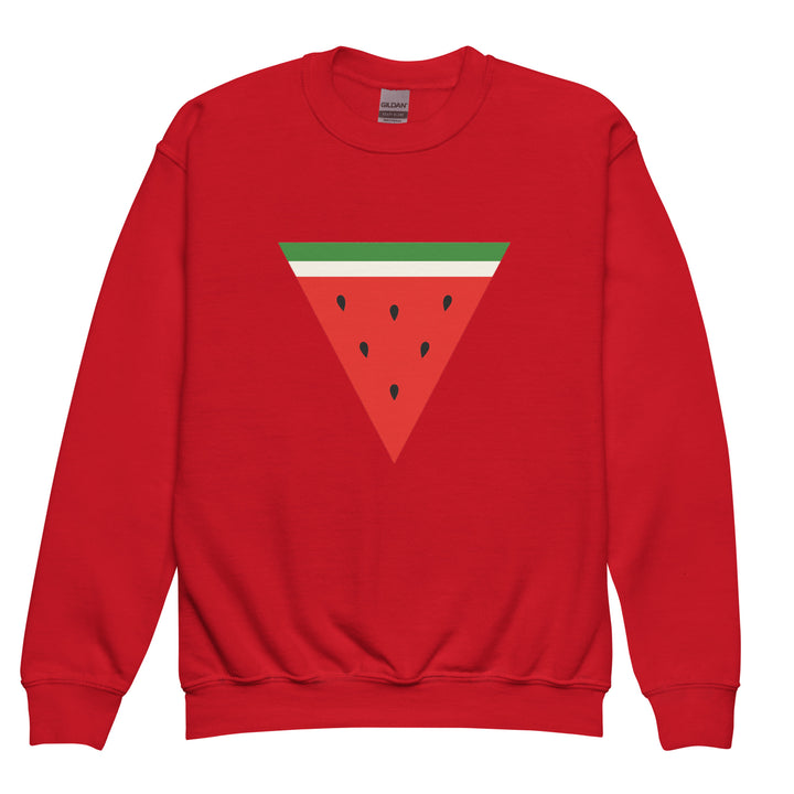 Triangle Watermelon - Youth Crewneck Sweatshirt, Red