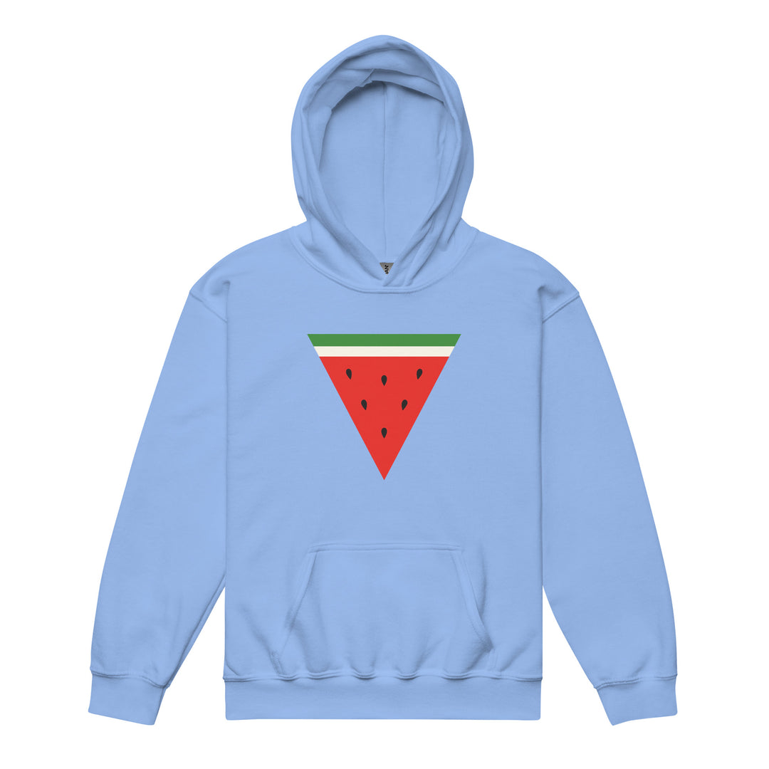 Triangle Watermelon - Youth Heavy Blend Hoodie, Carolina Blue