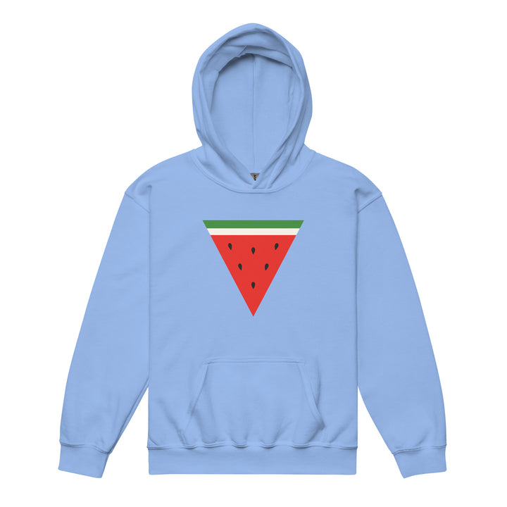Triangle Watermelon - Youth Heavy Blend Hoodie, Carolina Blue