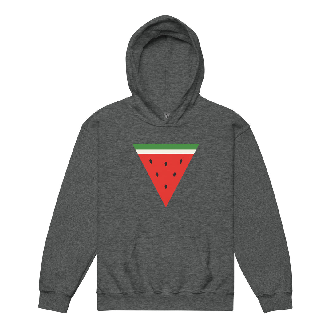 Triangle Watermelon - Youth Heavy Blend Hoodie, Dark Heather